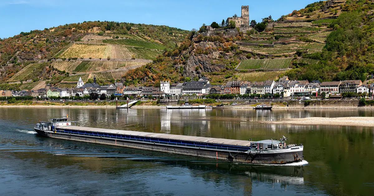 Cargo fluvial naviguant sur le Rhin en août 2026 devant Kaub, coque haute sur l'eau et larges bancs de graviers découverts sur la rive